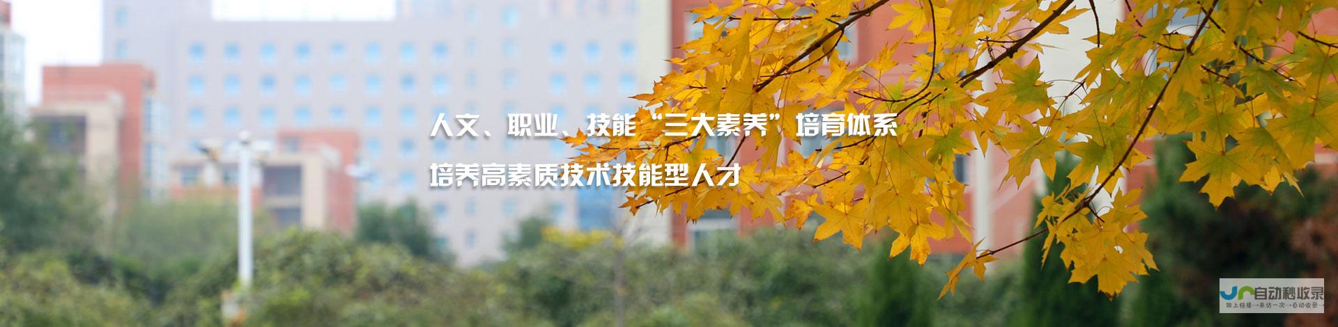 运城专业网站开发：从设计到维护，全方位满足您的企业网络需求