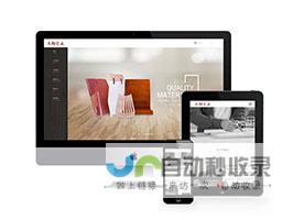 莱芜网站推广：精准引流，提升品牌形象，助力企业快速发展