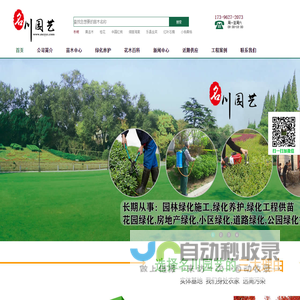 成都苗木批发_绿化苗木价格_苗木网_郫县基地供应_名川园艺公司
